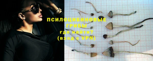 шишки Абаза