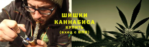 шишки Абаза