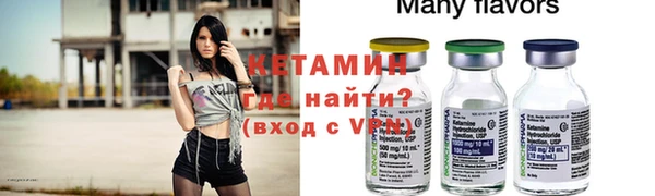 шишки Абаза
