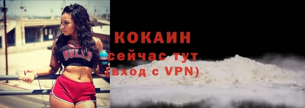 шишки Абаза