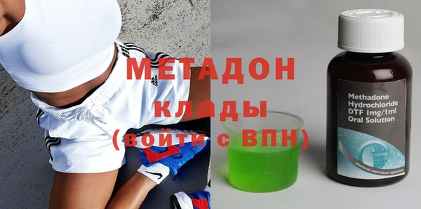 шишки Абаза