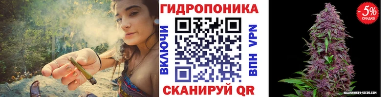 ссылка на мегу ТОР  Кохма  МАРИХУАНА гибрид 